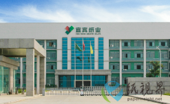 上半年收官！宜賓紙業(yè)表現(xiàn)如何？